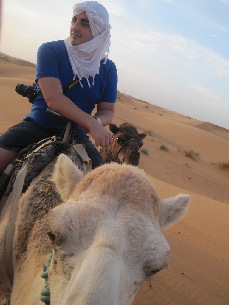 Riding camels in the Sahara